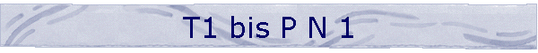 T1 bis P N 1