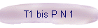 T1 bis P N 1
