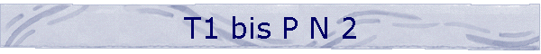 T1 bis P N 2